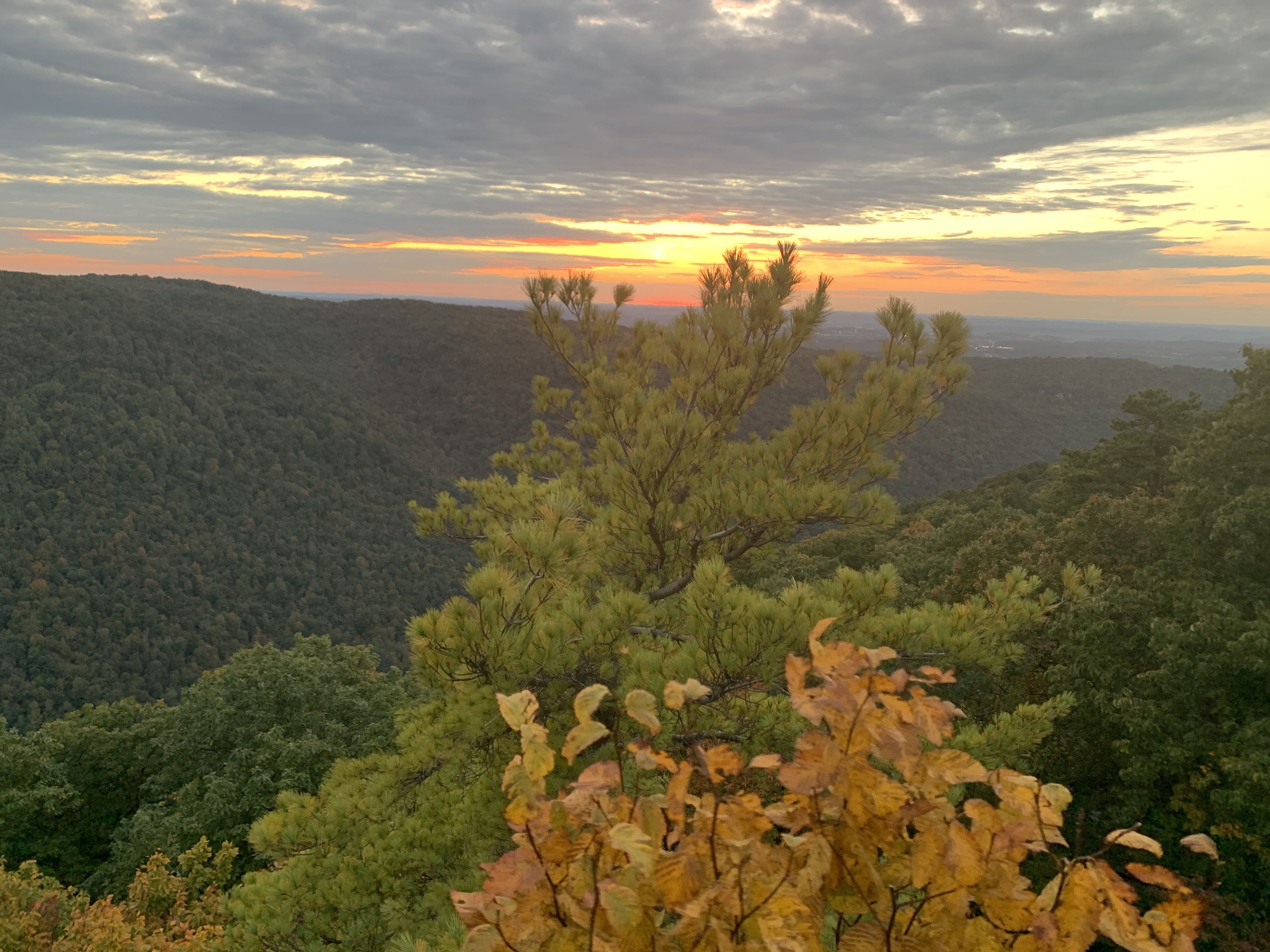 Sunset was so pretty, but, the leaves…colors???          叶子怎么没红???
