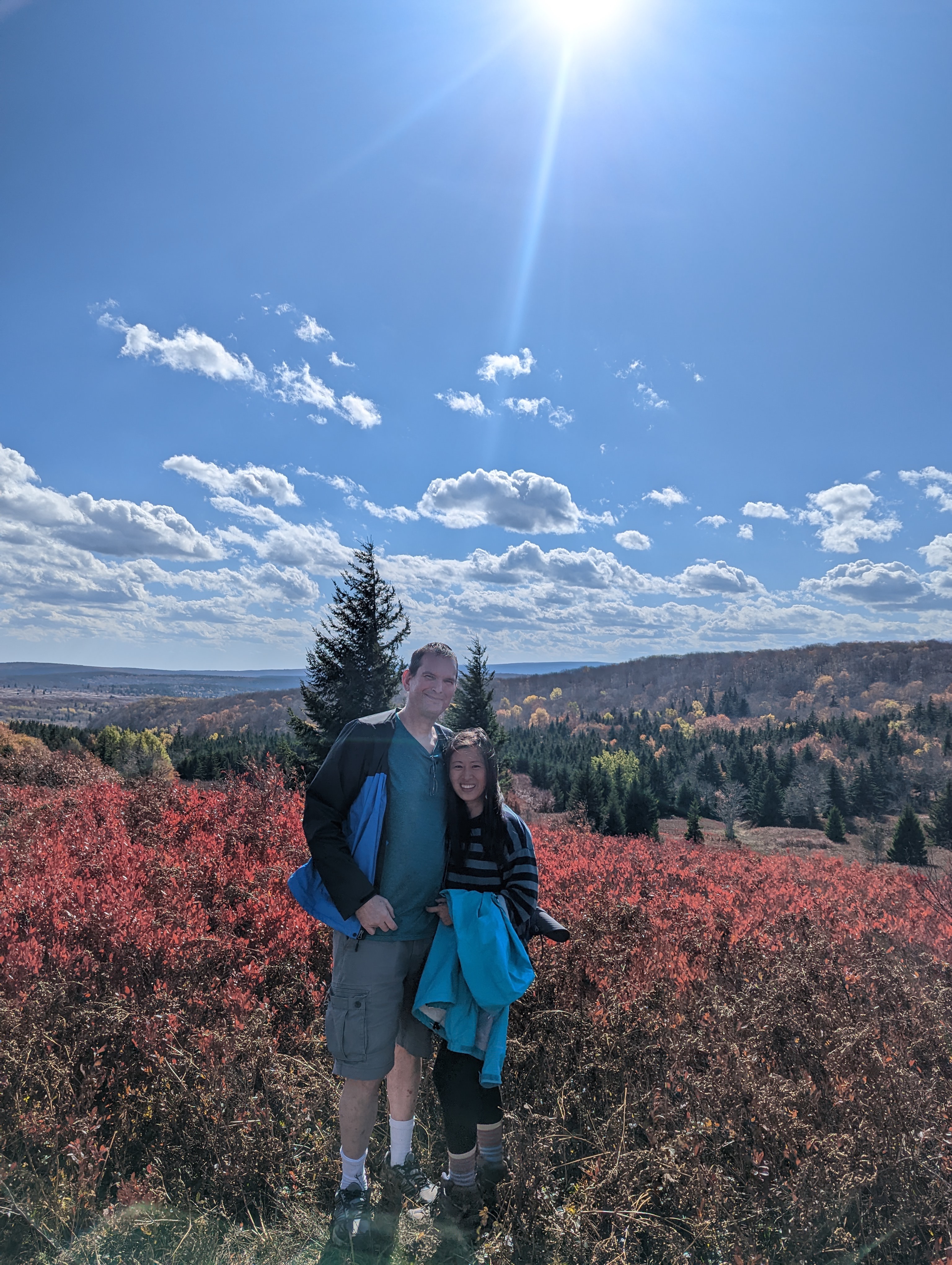 Dolly Sods: Bear Rocks Trail