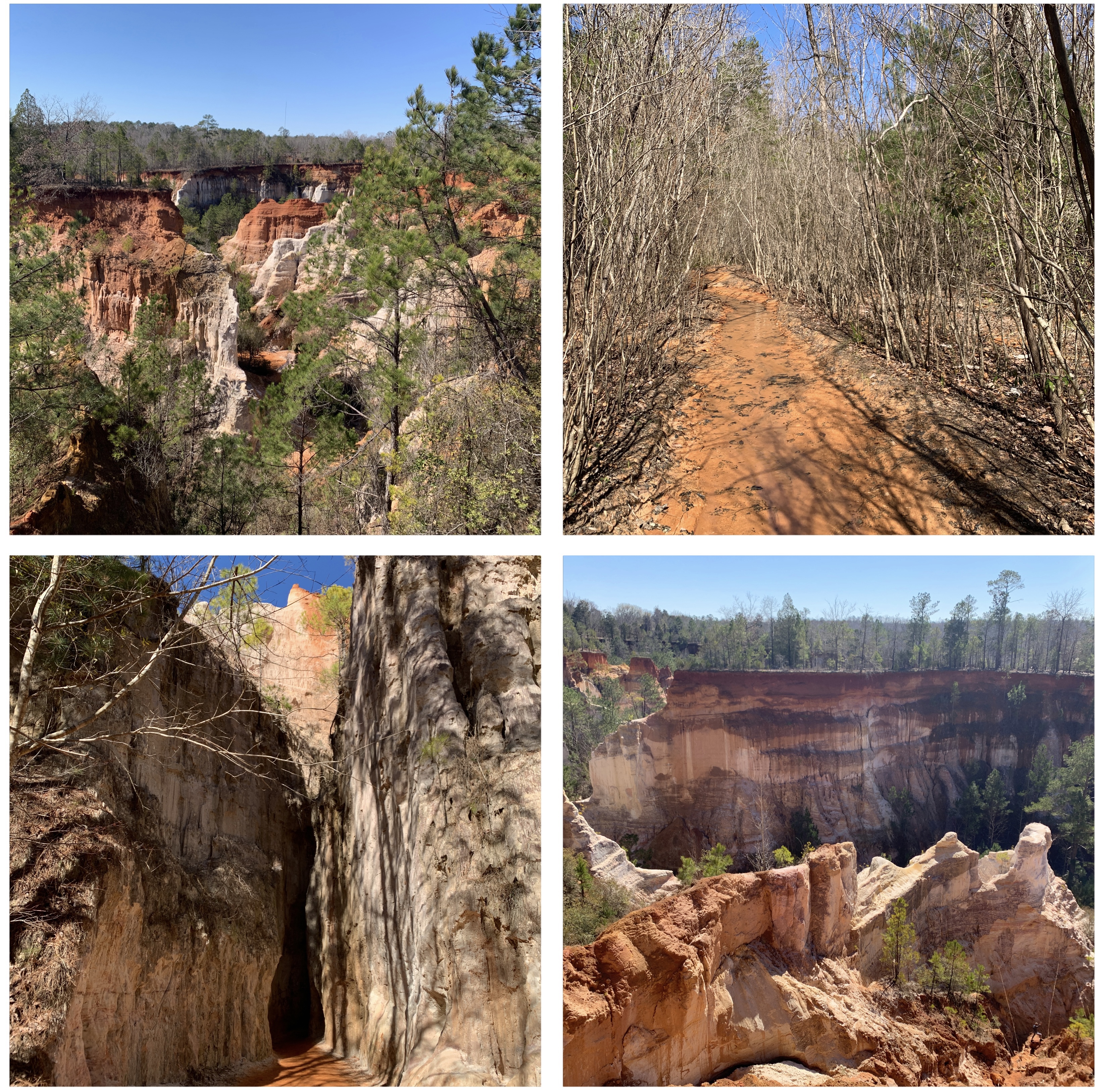 Georgia’s “Little Grand Canyon” is a testament to the power of man’s influence on the land. Massive gullies as deep as 150 feet were caused simply by poor farming practices during the 1800s.