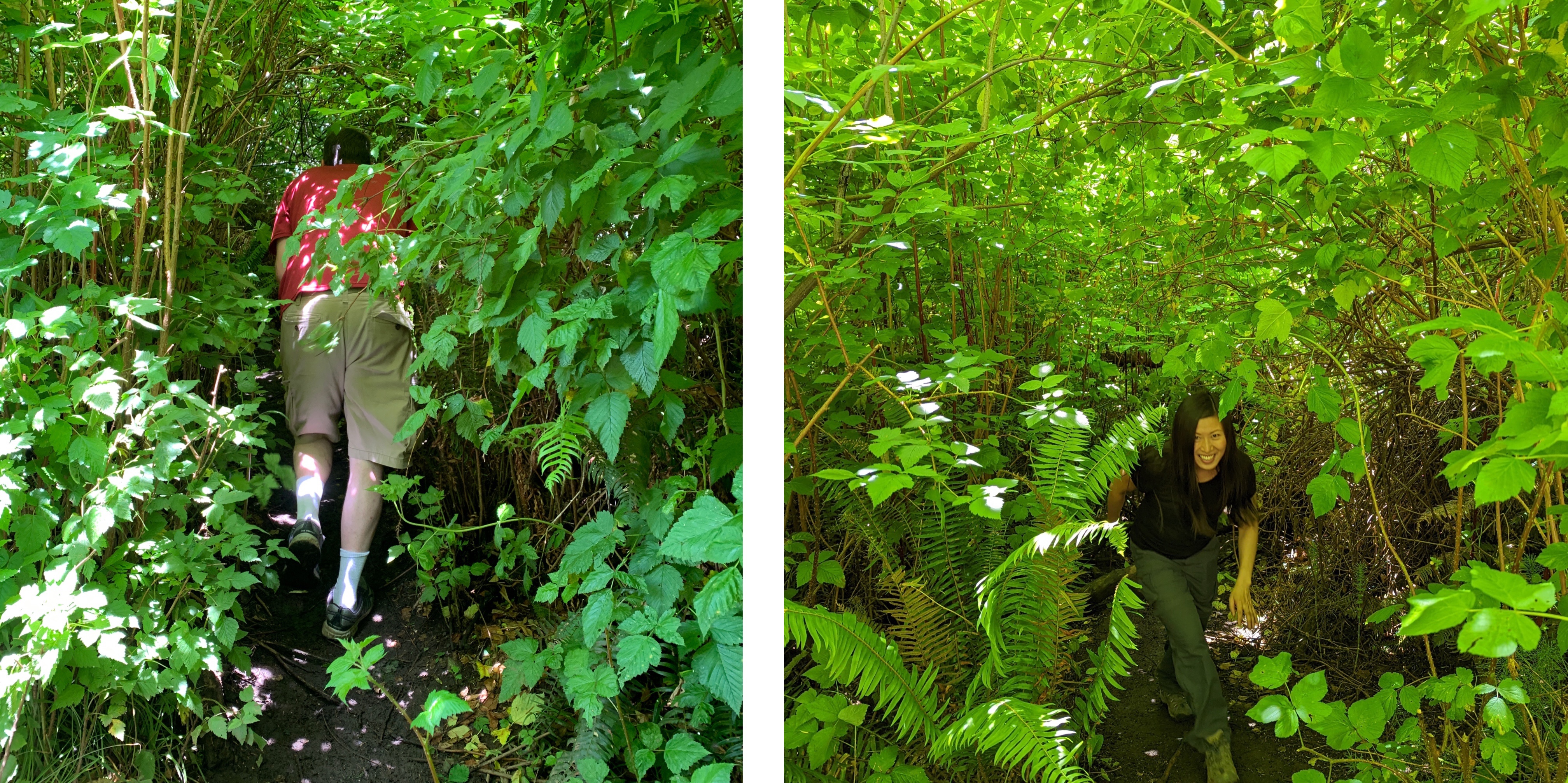 Fun to follow trails that not many have been on