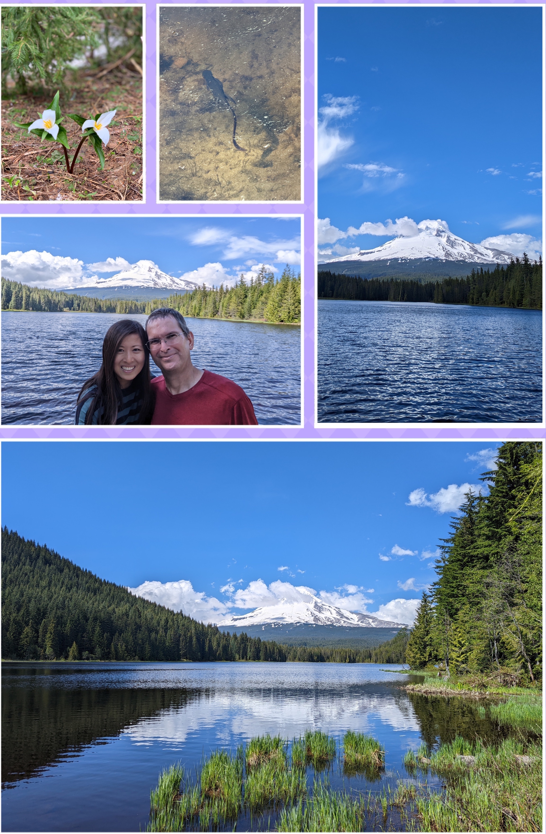 Trillium Lake 延龄草湖