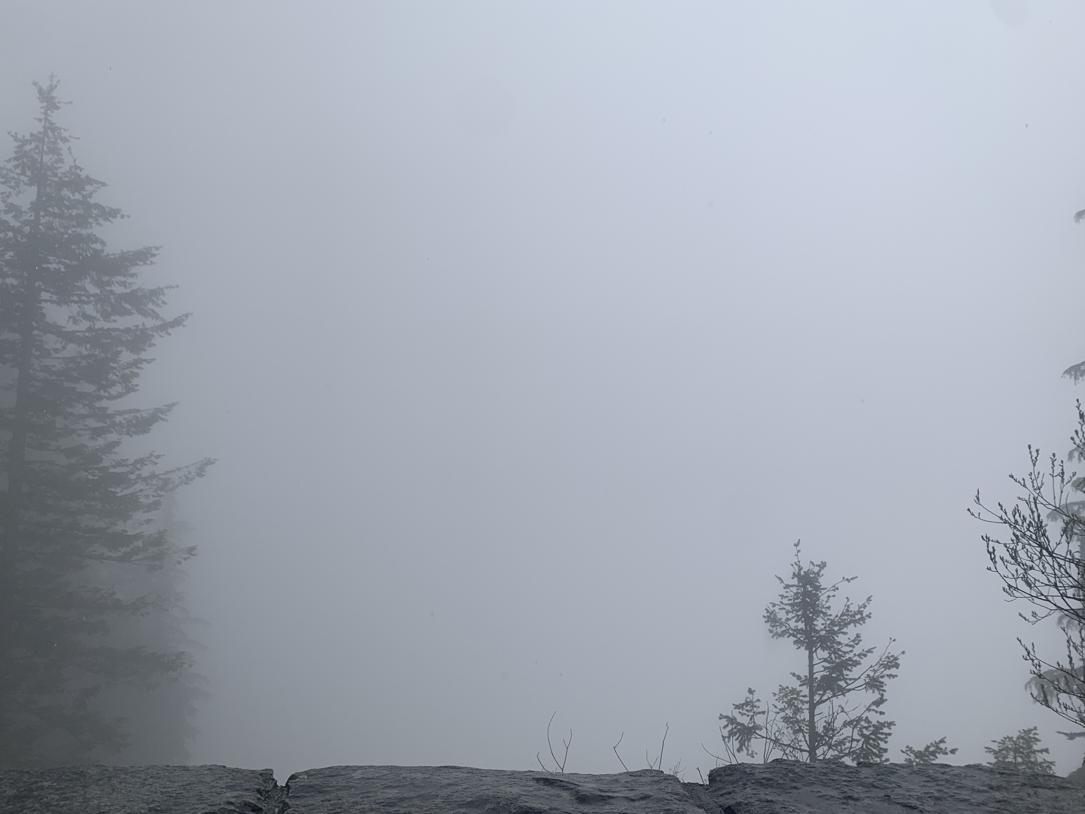 Views of Mount Rainier, Nisqually Glacier, Eagle Peak, Rampart Ridge and several of the 25 glaciers