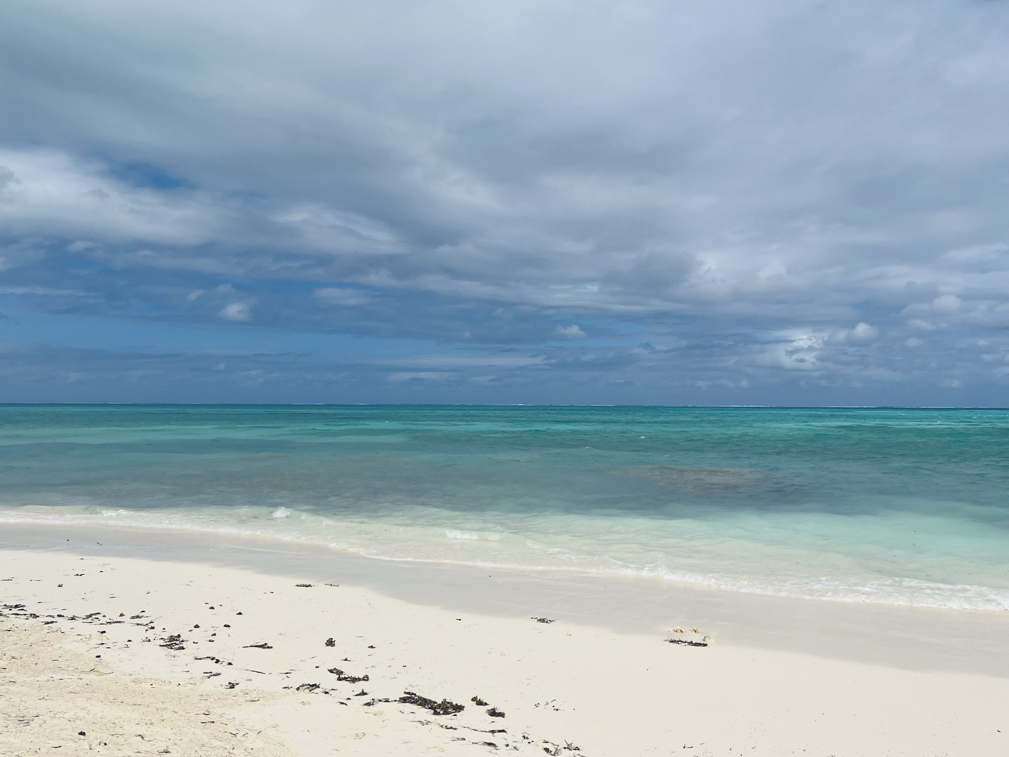 From Conch Shack 餐厅美景:白沙、绿水、蓝天